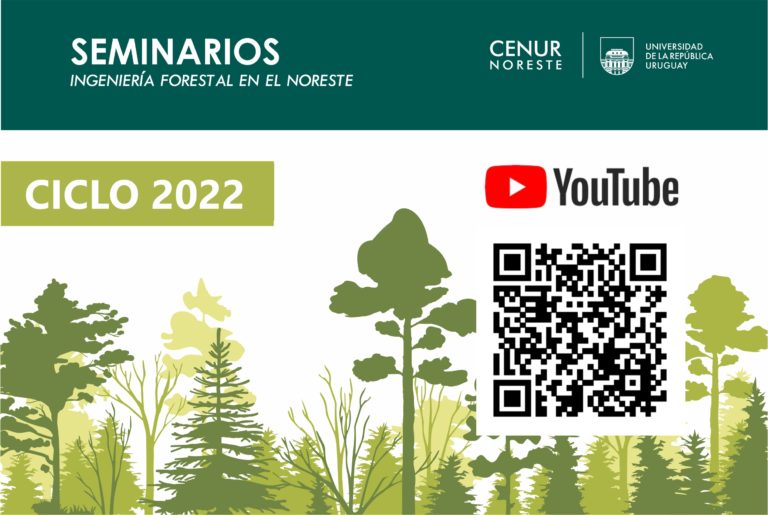 Seminarios Ingeniería Forestal: La participación de la UDELAR en REDEMA: tres experiencias de trabajo con aserraderos y carpinterías en Tacuarembó y Rivera