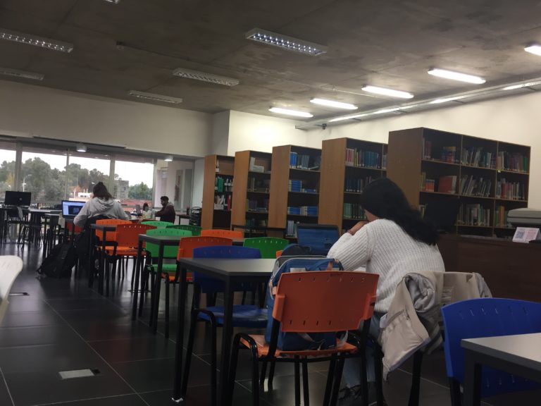 26 de mayo «Día Nacional del Libro» – Entrevista a las  bibliotecólogas de la Sede Tacuarembó