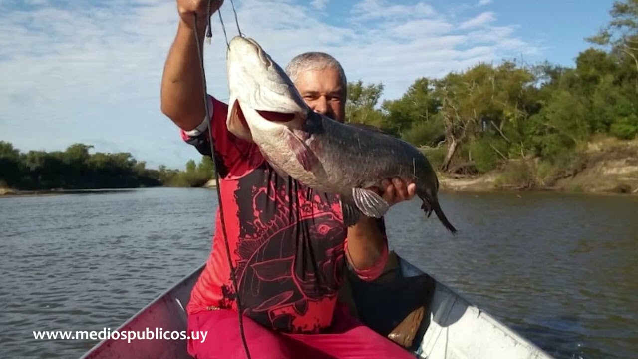 Pesca y recreación en la Cuenca Alta del Río Negro