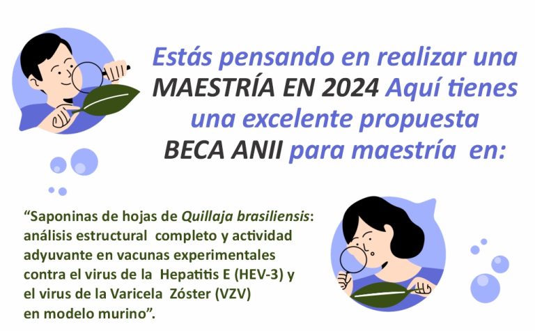 Atención: llamado a BECA ANII para maestría. Postulaciones hasta el 10 de enero de 2024