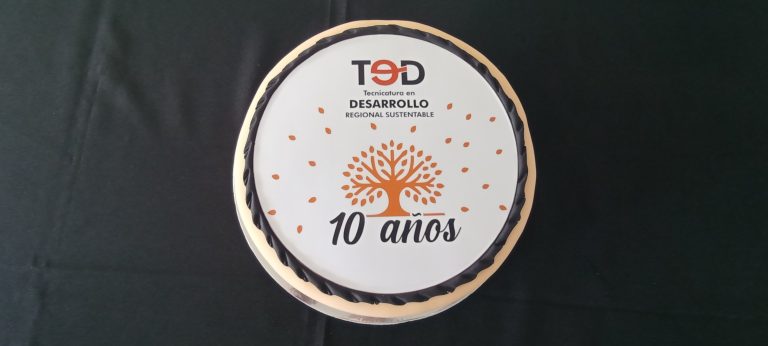 Festejos 10 años de la TED