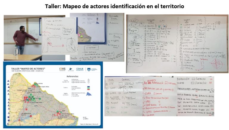 Proyecto I + D: ¿Es la bioeconomía una estrategia plausible de desarrollo humano sustentable para el noreste de Uruguay? Discusión teórico-conceptual y bases empíricas para su implementación