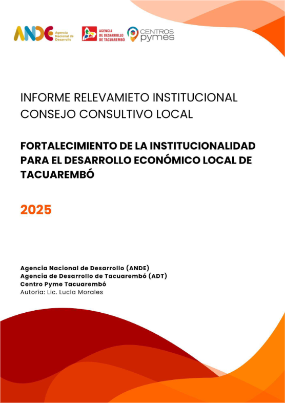 Informe de Relevamiento Institucional Consejo Consultivo Local